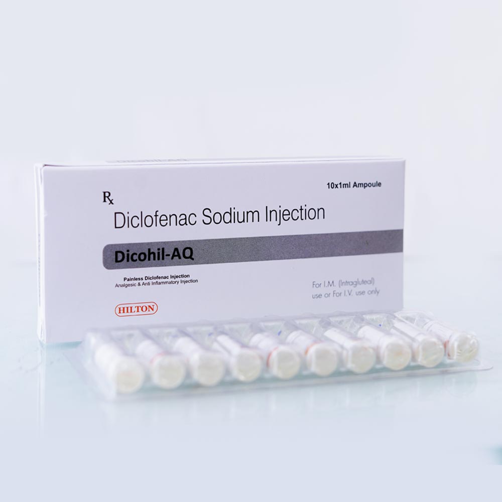 DicoHil-AQ_V1